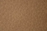 Highland Dark Brown Leather Panel Bed