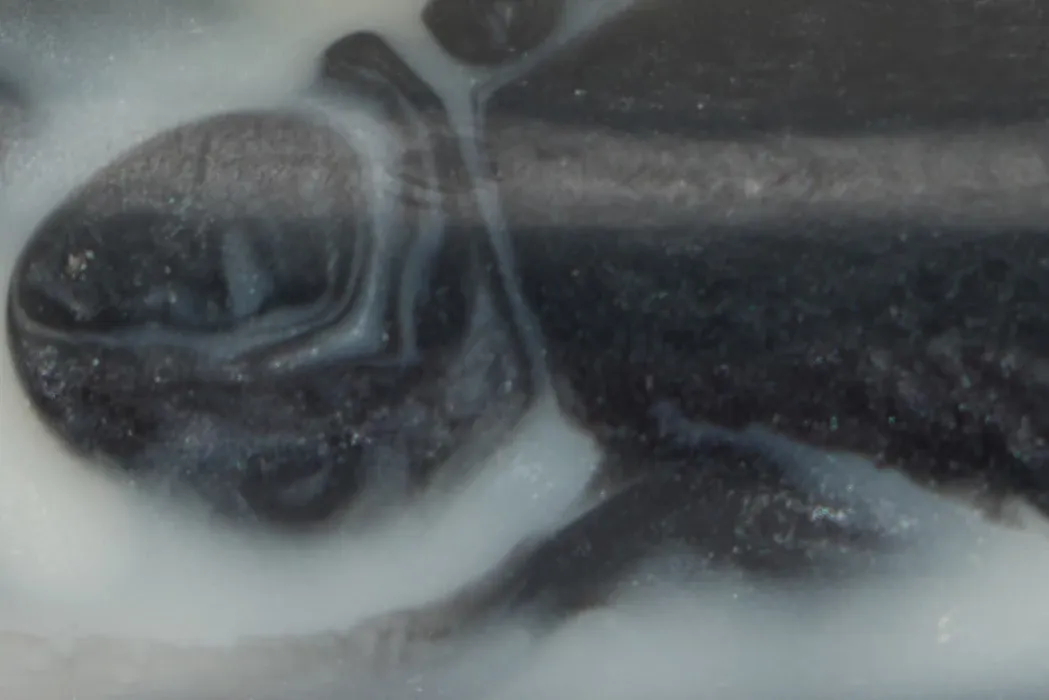 Shai Black Tabletop Accessory