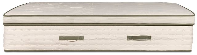 Avocado Green 15.50" Plush Box Top Mattress