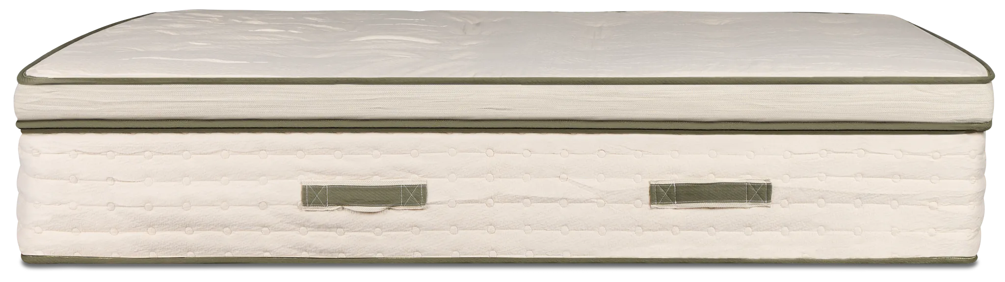 Avocado Green 15.50" Plush Box Top Mattress