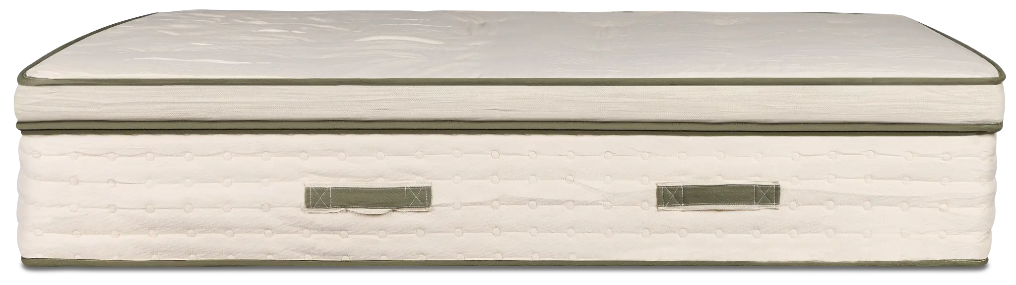 Avocado Green 15.50" Plush Box Top Mattress Avocado Green 15.50" Plush Box Top Mattress