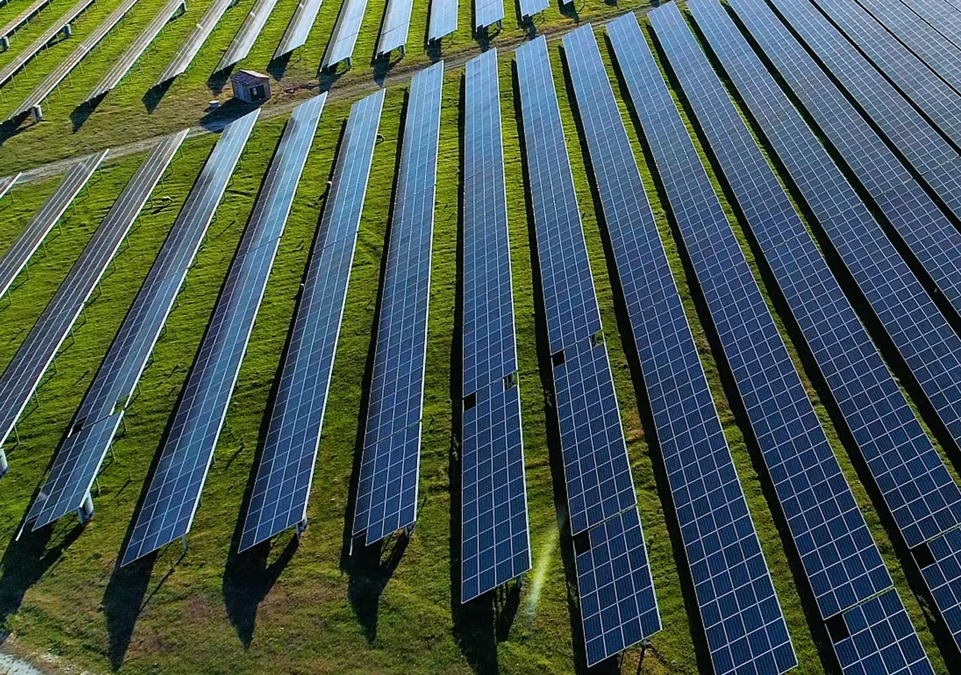 2040 Green Promise