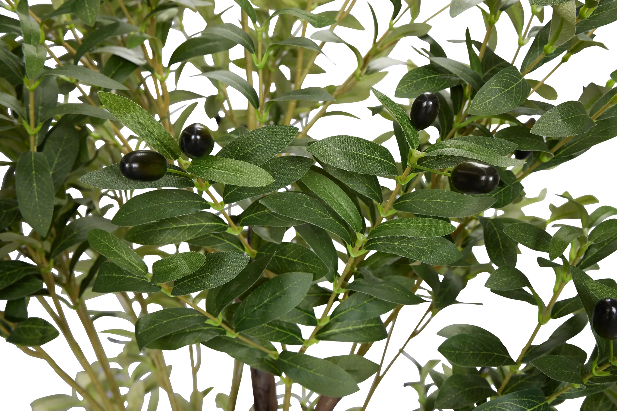 Oliver Green 5' Tree Oliver Green 5' Tree