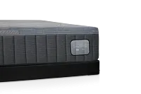 Kevin Charles By Sealy Hybrid Medium Low-profile Mattress Set