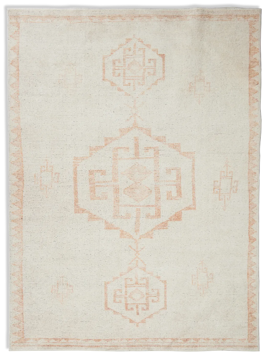 Ilona Orange 7x10 Area Rug