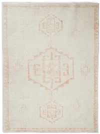Ilona Orange 7x10 Area Rug