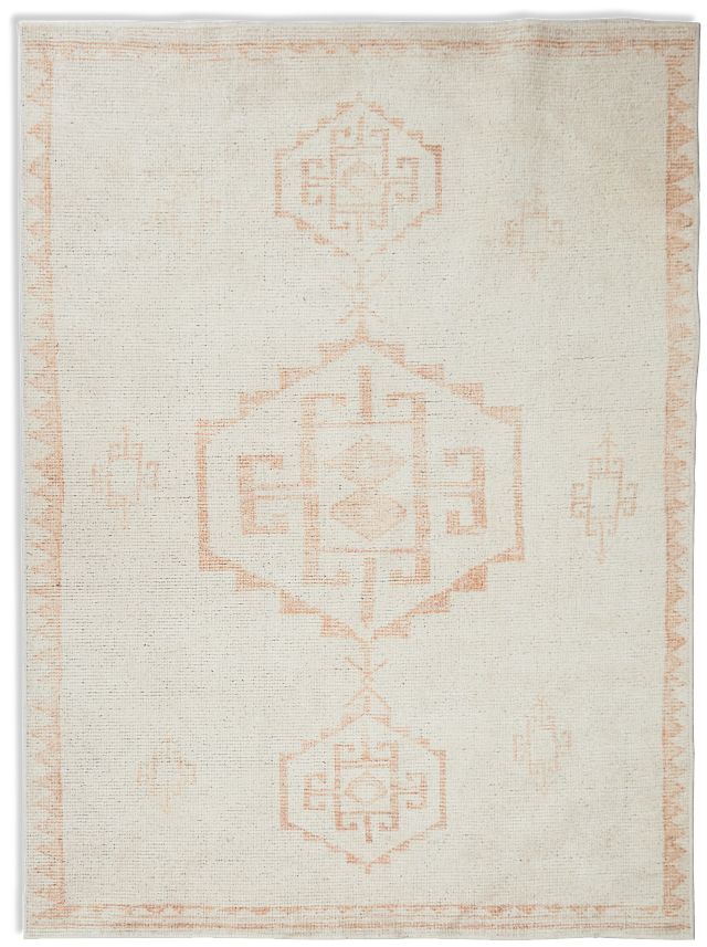 Ilona Orange 7x10 Area Rug