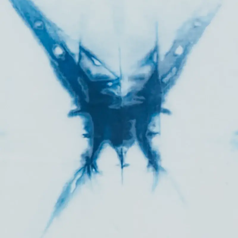 Light Blue Light Blue