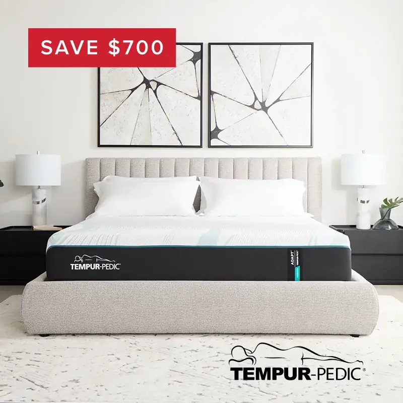 MAR13939-3325-0811-LDSMattress-Tempur-ECB-XLG.jpg