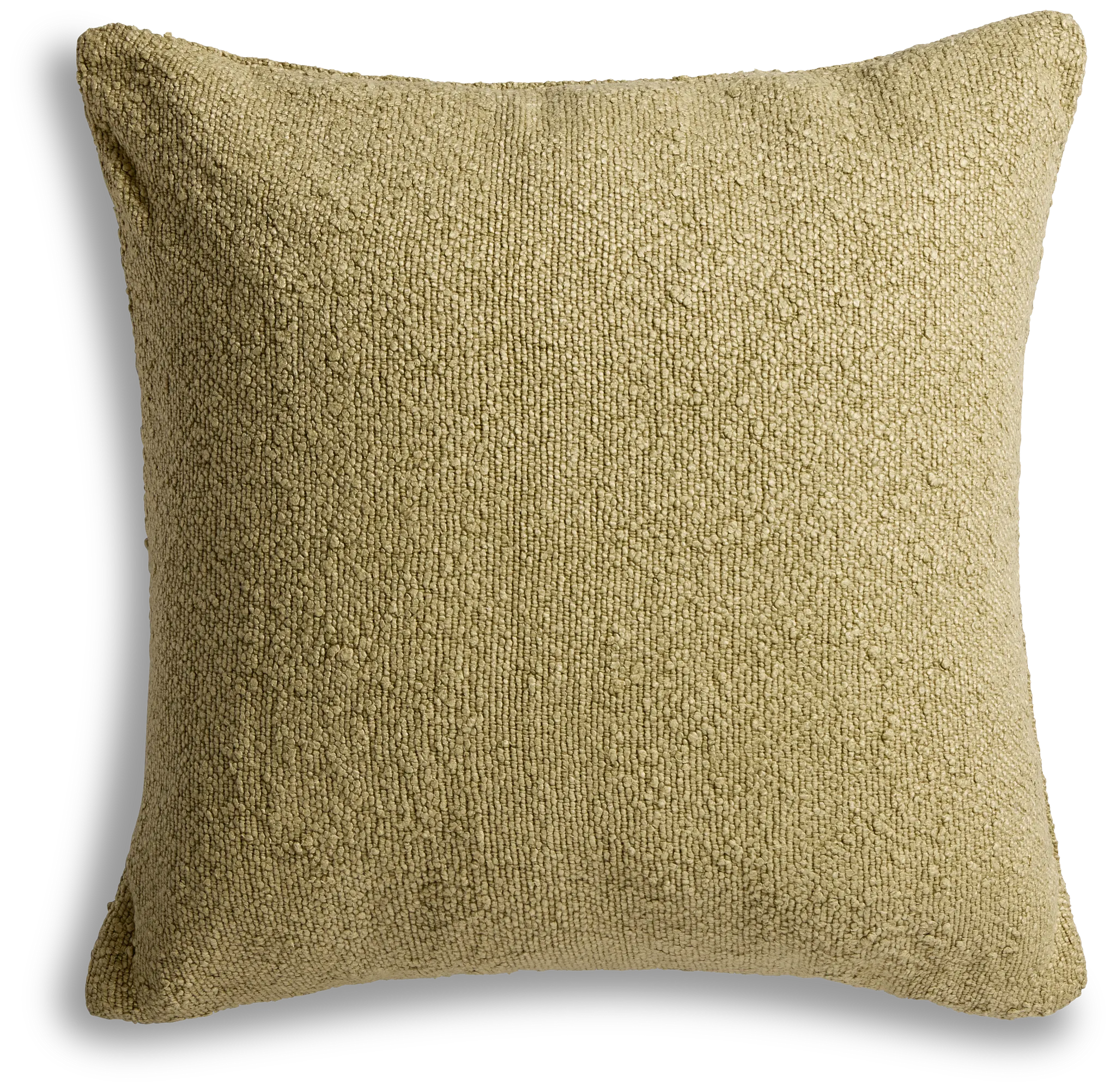 Savani Green 22" Square Accent Pillow