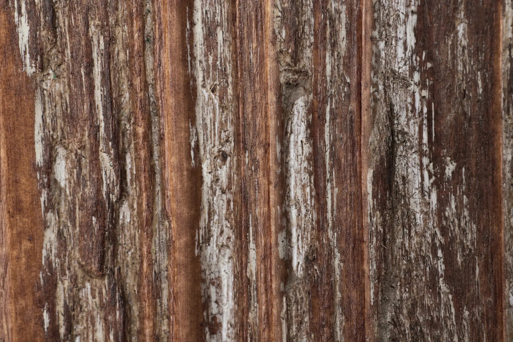 Iona Brown Wood Floor Mirror