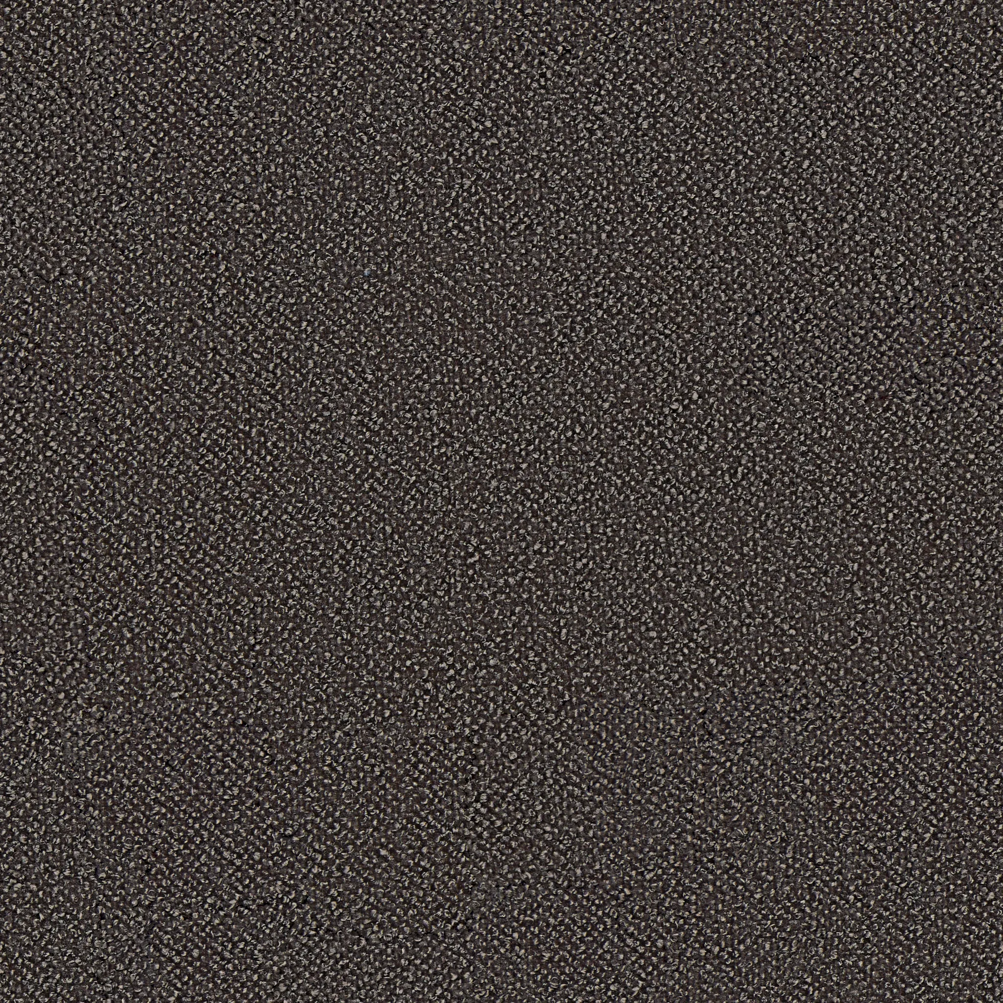 Captiva Elite Dark Gray 60" Upholstered Shelter Bed