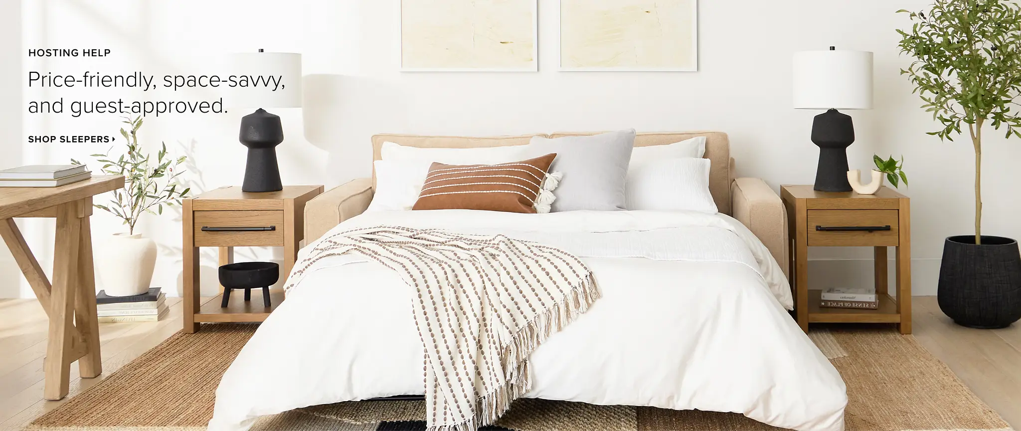 Shop Sleeper Sofa