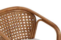 Maui Light Tone Woven Upholstered Arm Chair