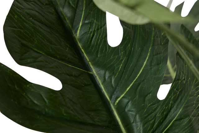 Split Philo 3' Greenery