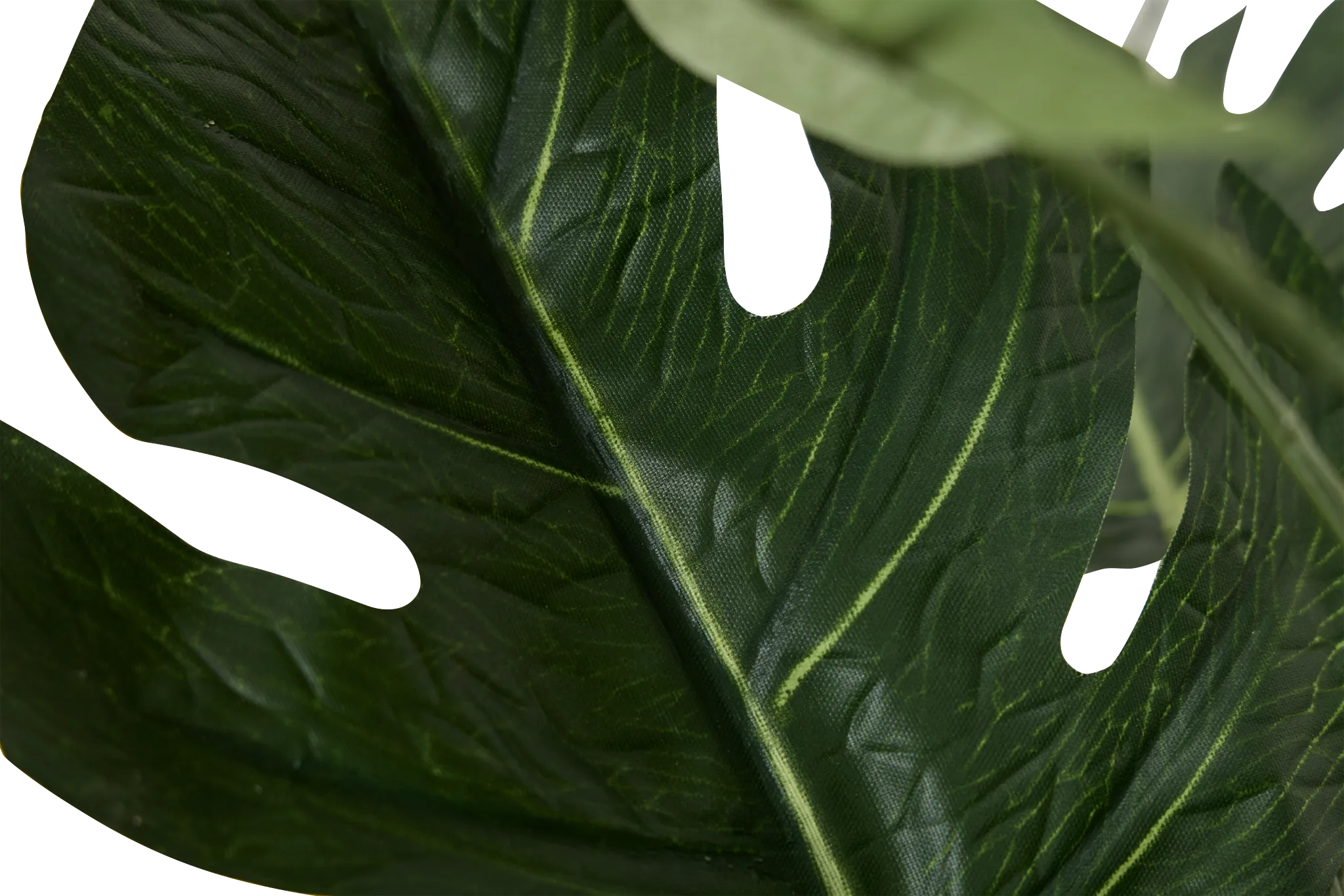 Split Philo 3' Greenery