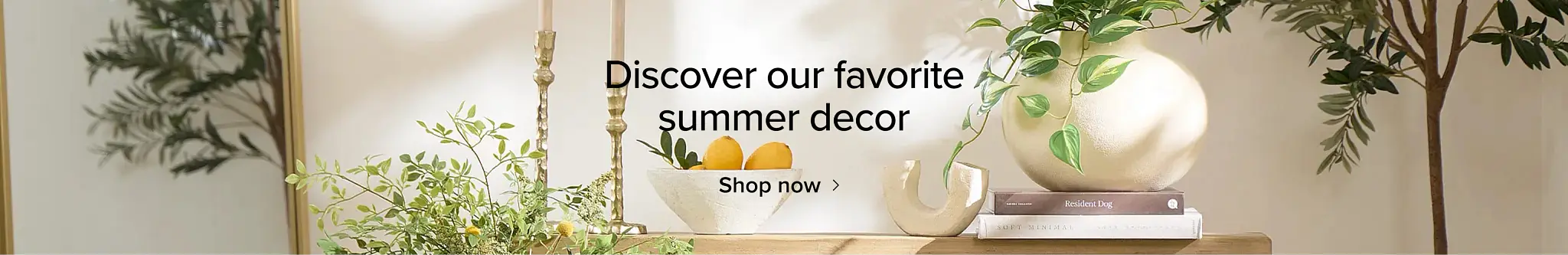 MAR17064-2926-0716-AS-SummerDecor-HP-COI-XLG.jpg