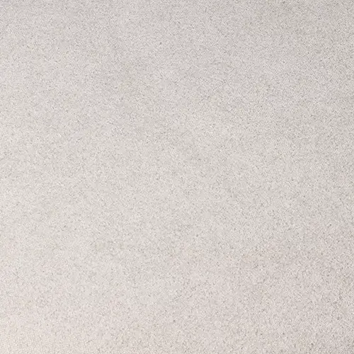 Light Gray Light Gray