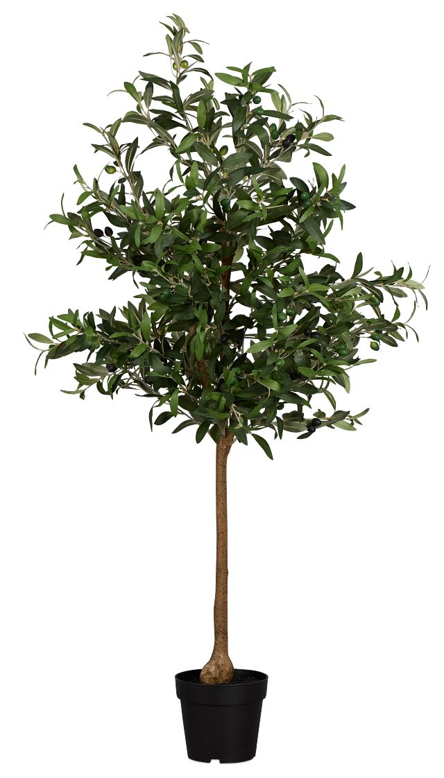 Olive 5" Green Tree