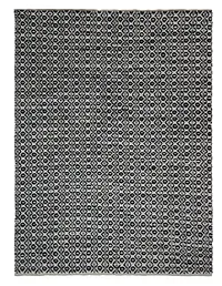 Benoni Black 8x10 Area Rug
