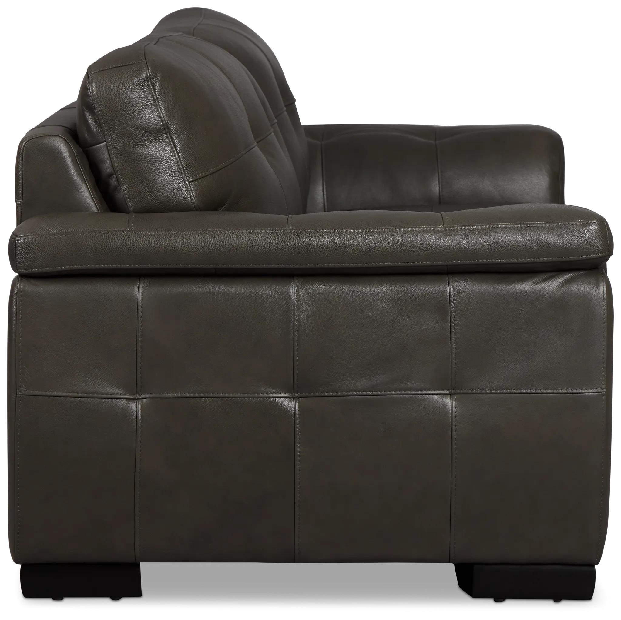 Braden Dark Gray Leather Sofa