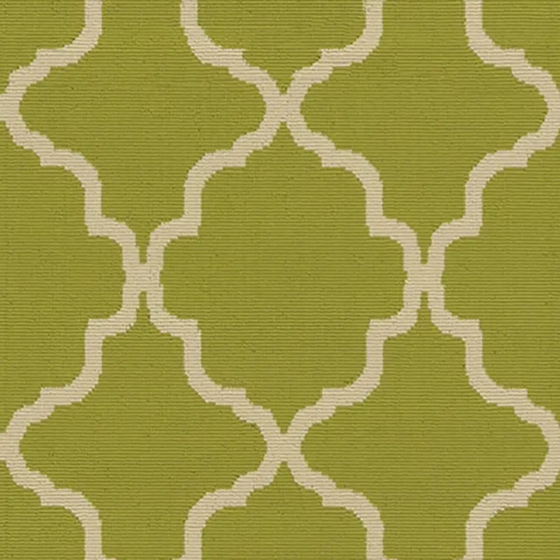 GREEN Rivy Green Indoor/outdoor 5x8 Area Rug