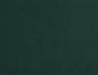 Captiva Joya Green 60" Upholstered Shelter Bed