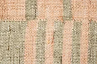 Gingera Green Indoor/outdoor 5x8 Area Rug