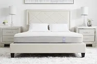 Collin Beige Velvet Platform Bed