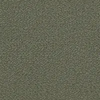 Captiva Sutton Green 60" Upholstered Shelter Bed