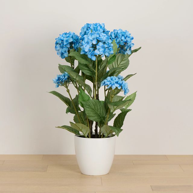 Hyrangea 2' Floral Arrangement