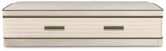 Avocado Green Plush Low-profile Mattress Set