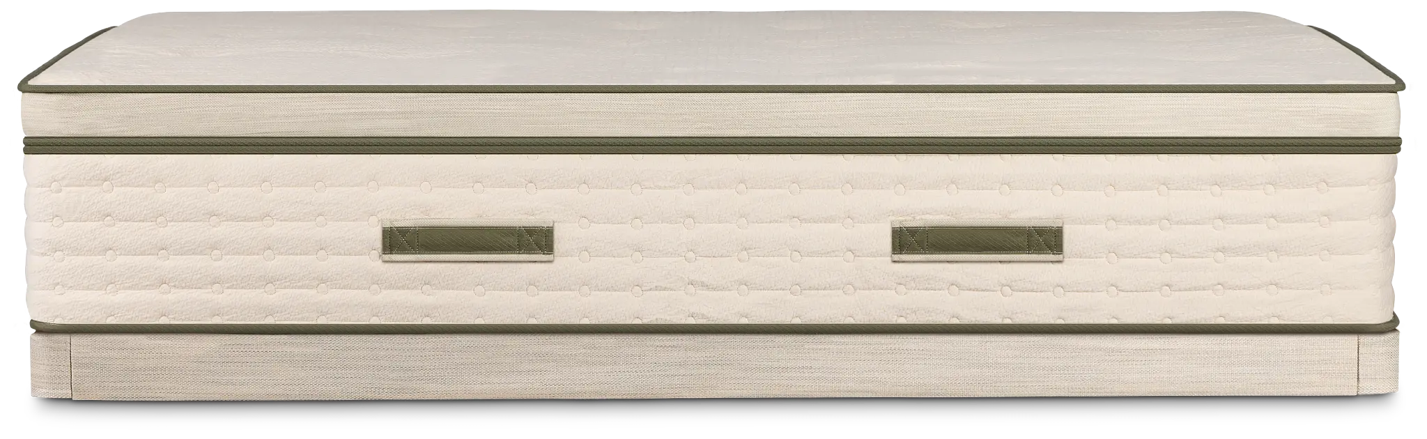 Avocado Green Plush Low-profile Mattress Set Avocado Green Plush Low-profile Mattress Set