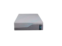 Rest & Renew Performance Pro 13.5" Soft Memory Foam Mattress
