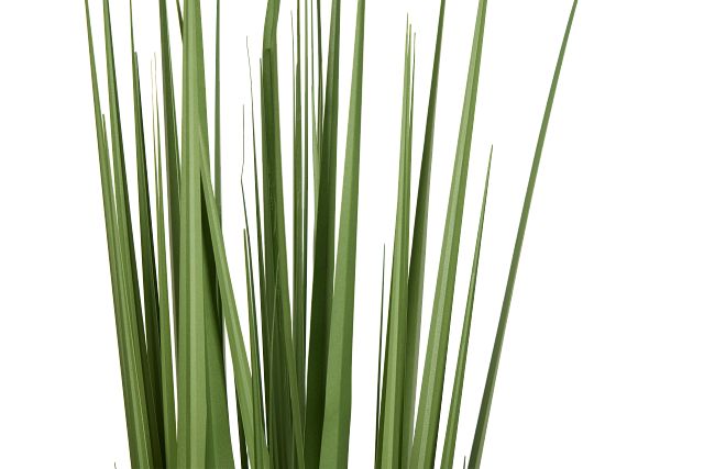 Lemon 3' Grass