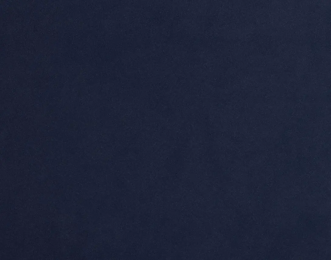 Captiva Joya Dark Blue 60" Upholstered Shelter Bed Captiva Joya Dark Blue 60" Upholstered Shelter Bed