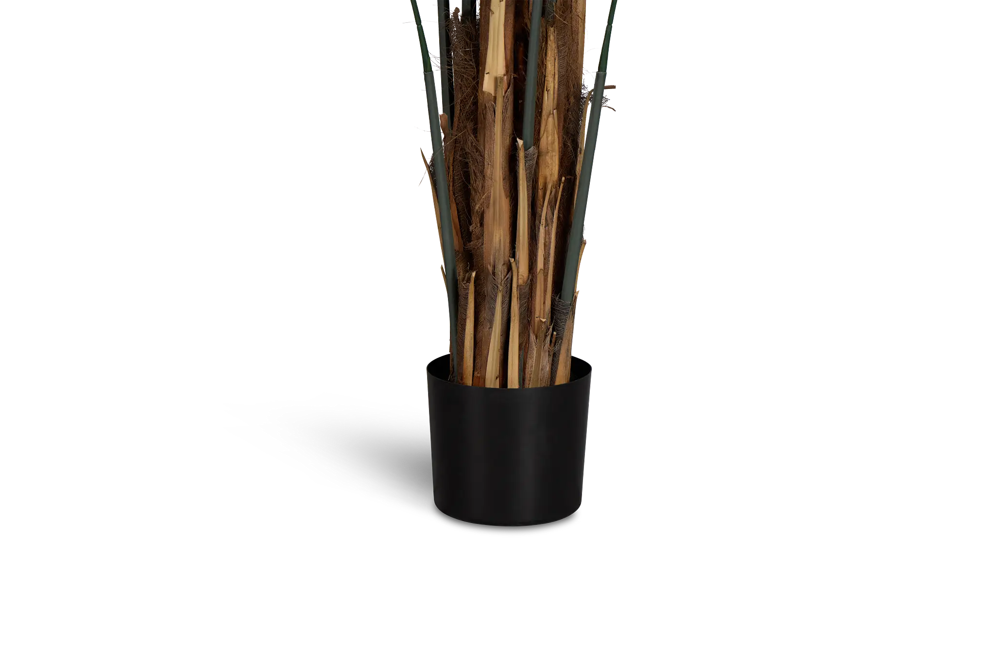 Koa 7' Palm Koa 7' Palm