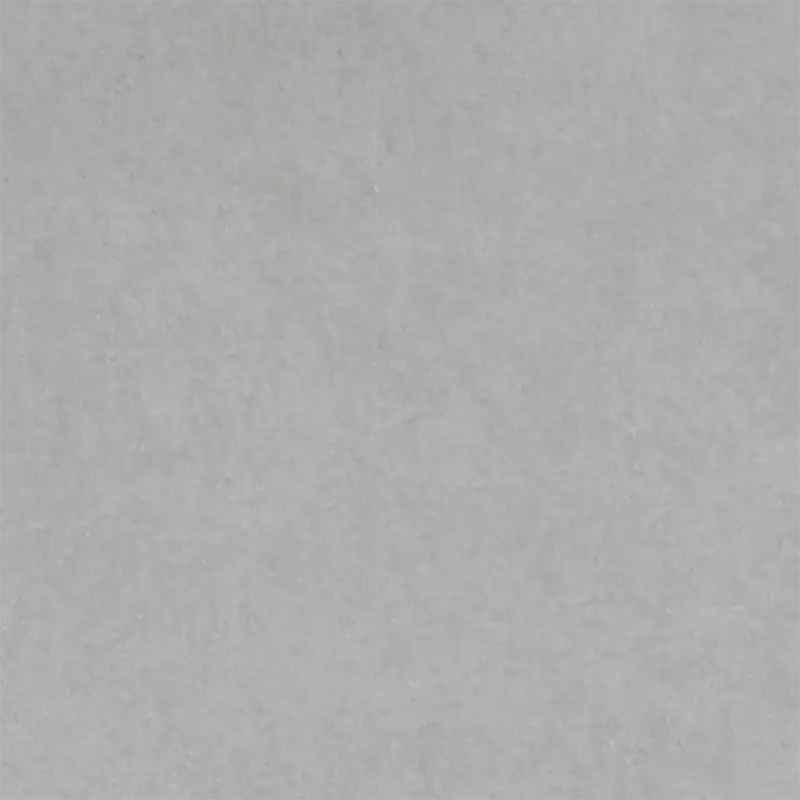 Light Gray Light Gray