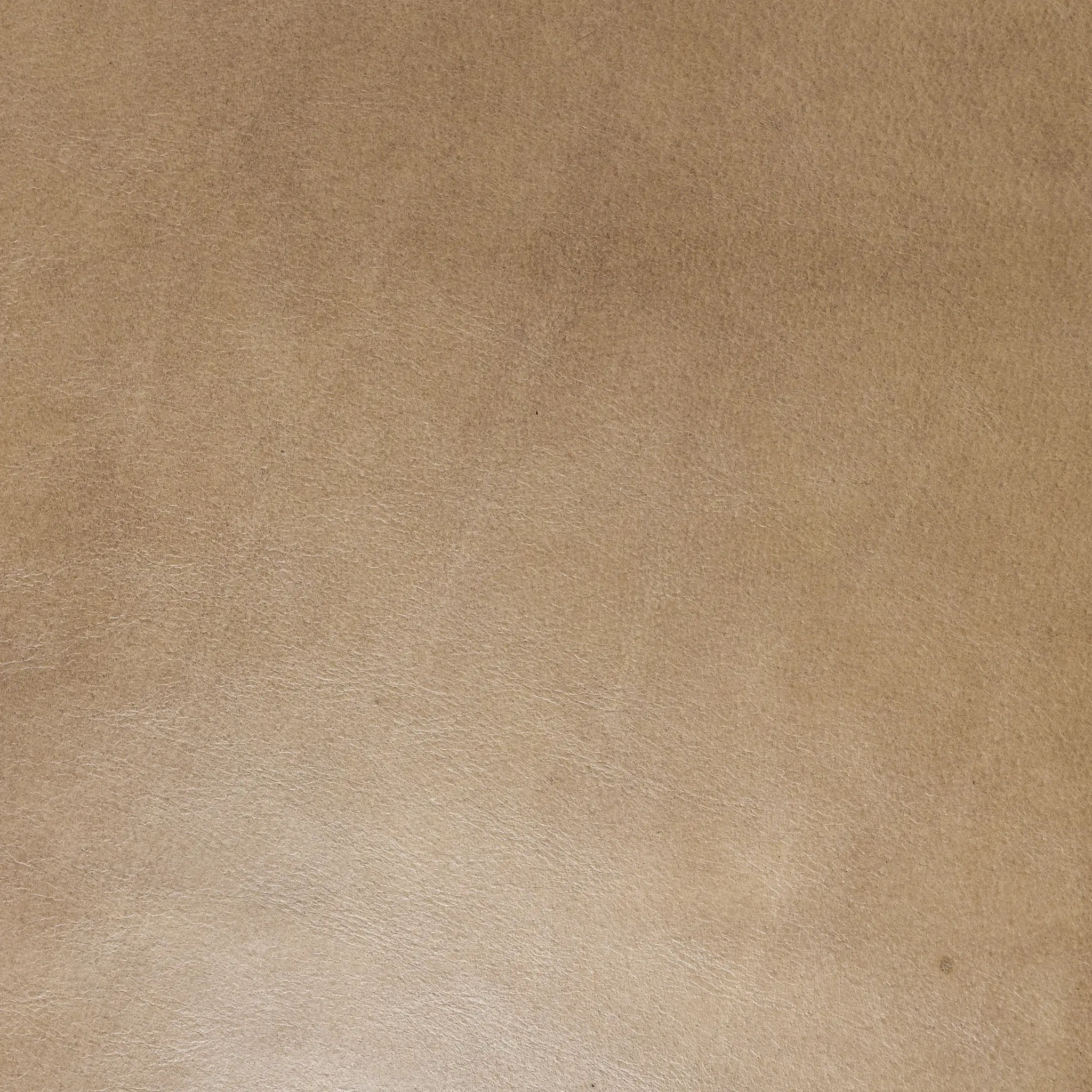 Mando Beige Upholstered Arm Chair Mando Beige Upholstered Arm Chair