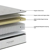 Avocado Green 11" Firm Tight Top Mattress