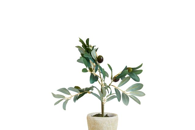 Jolly 12" Olive Tree (2)