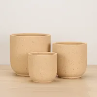 Rhyl Beige Set Of 3 Planter