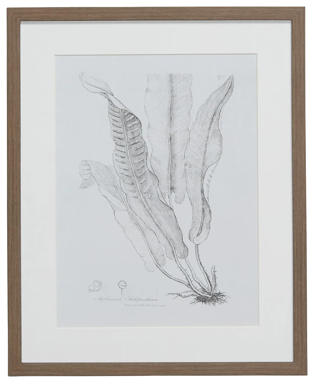 Leaflet Gray Framed Wall Art