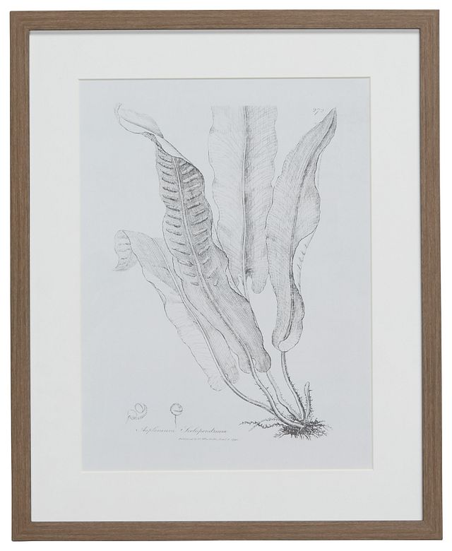 Leaflet Gray Framed Wall Art