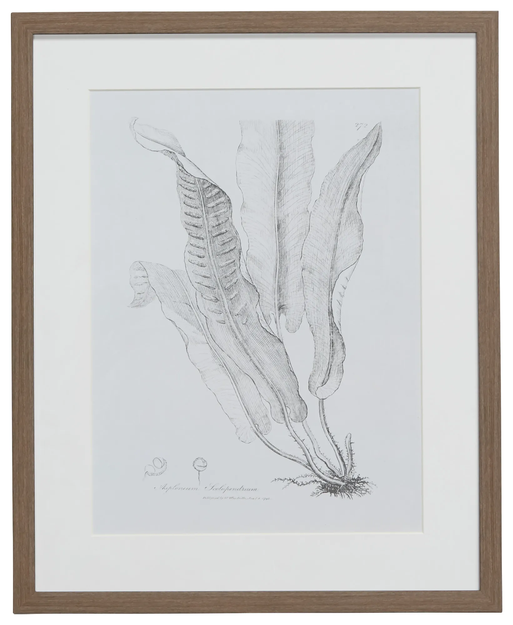 Leaflet Gray Framed Wall Art