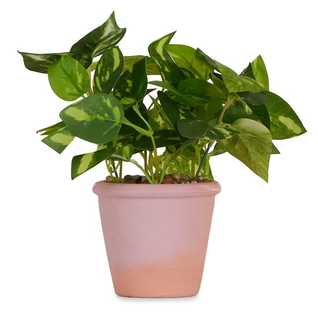 Potato Leaf 11" Greenery