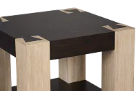 Jacob Two-tone Square End Table