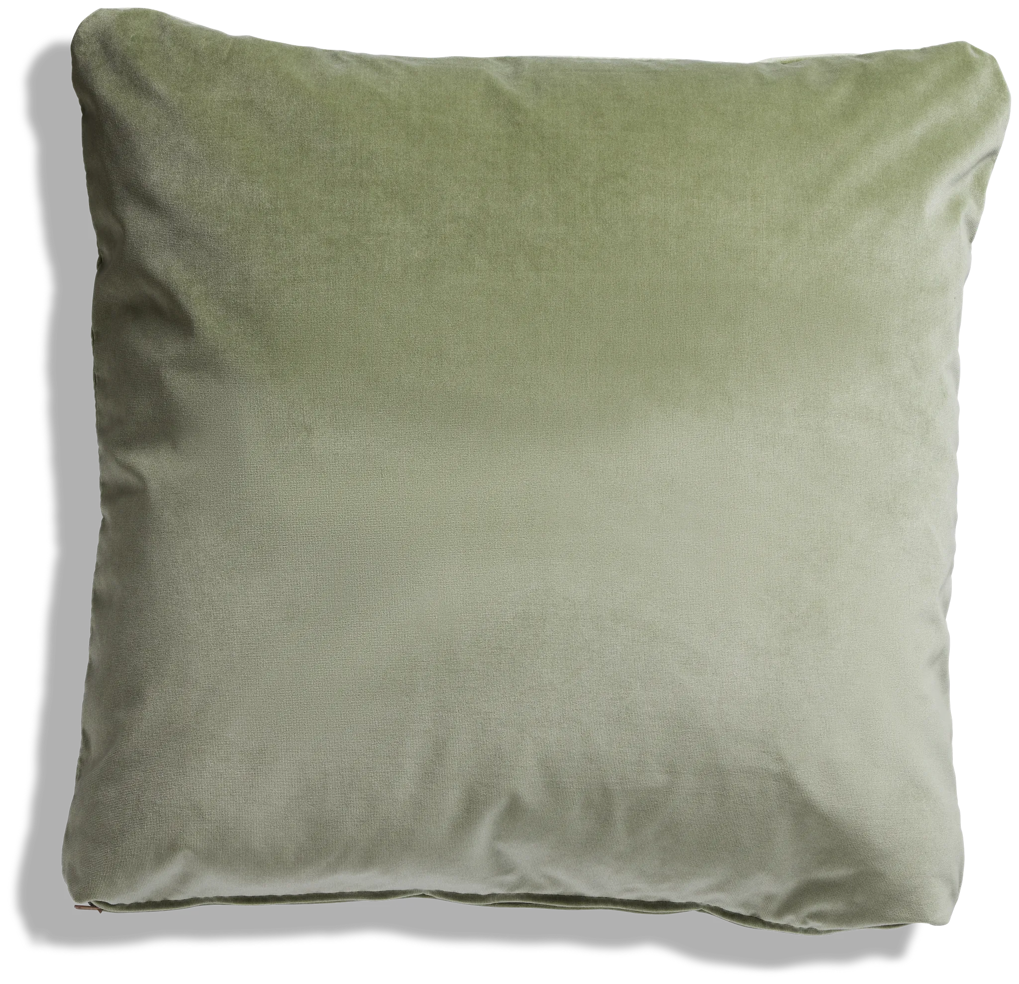 Lauran Light Green 22" Accent Pillow