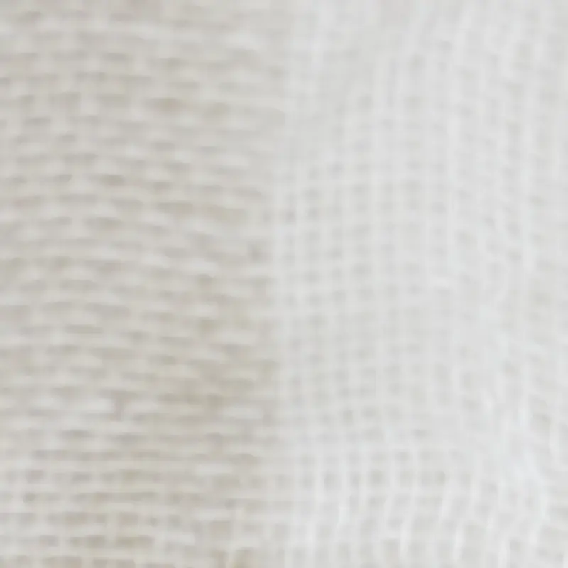Ivory Ivory