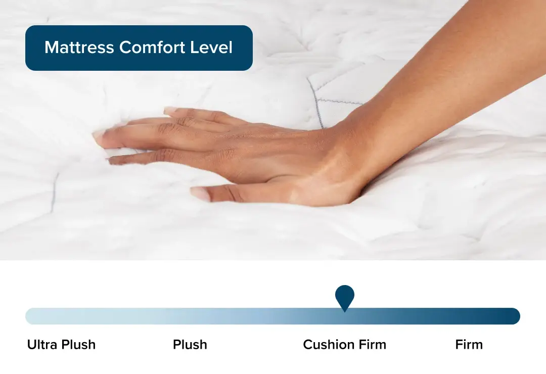 Aireloom Timeless Odyssey Streamline Luxury Firm 14.5" Mattress Aireloom Timeless Odyssey Streamline Luxury Firm 14.5" Mattress